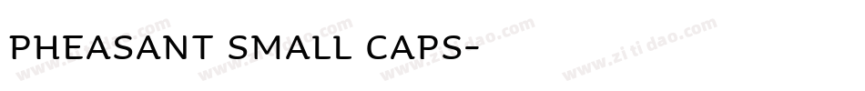 Pheasant Small Caps字体转换